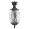 Acclaim Lighting Lanai 2 - Light Wall Light in  Black Coral - 3 of 4