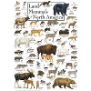 MasterPieces Inc Land Mammals of North America 1000 Piece Linen Jigsaw Puzzle - 3 of 3