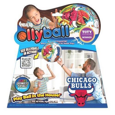 NBA Chicago Bulls 12" Basketball