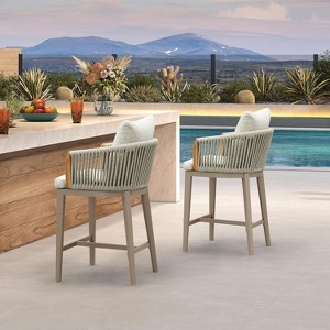 Purple Leaf 2-Pack Counter Bar Stools – Modern Olefin Upholstered with Back & Armrest, for Patio, Kitchen Island, Backyard - 1 of 4