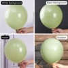 PartyWoo Balloons Sage Green Matte Olive Boho Dusty Eucalyptus 18 12 10 5 Inch 140 pcs - 3 of 4