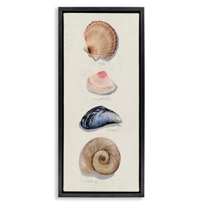 Stupell Industries Traditional Nautical Sea Shells, 11" x 25"