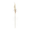Melrose Foxtail Grass Spray (Set of 2) - 2 of 3