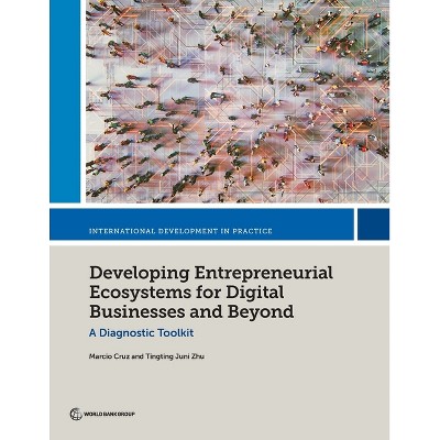 Developing Entrepreneurial Ecosystems for Digital Businesses and Beyond - by  Marcio Cruz & Tingting Juni Zhu (Paperback)