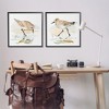 Stupell Industries Sea Birds on Shore, 24" x 24" - 2 of 4