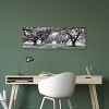 Brick Path Through Alley of Oak Trees Louisiana New Orleans USA II by Panoramic Images Unframed Wall Canvas - iCanvas - 2 of 3