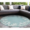 Liora Manne Capri Coastal Indoor/Outdoor Rug.. - 3 of 4