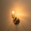C Cattleya 1-Light Brushed Nickel Armed Sconce Wall Lamp with Clear Glass Shade(2-Pack) - 3 of 4