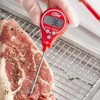 CDN Digital Lollipop Thermometer, 4 Second Response Time, 4.3-Inch Stem - 2 of 2