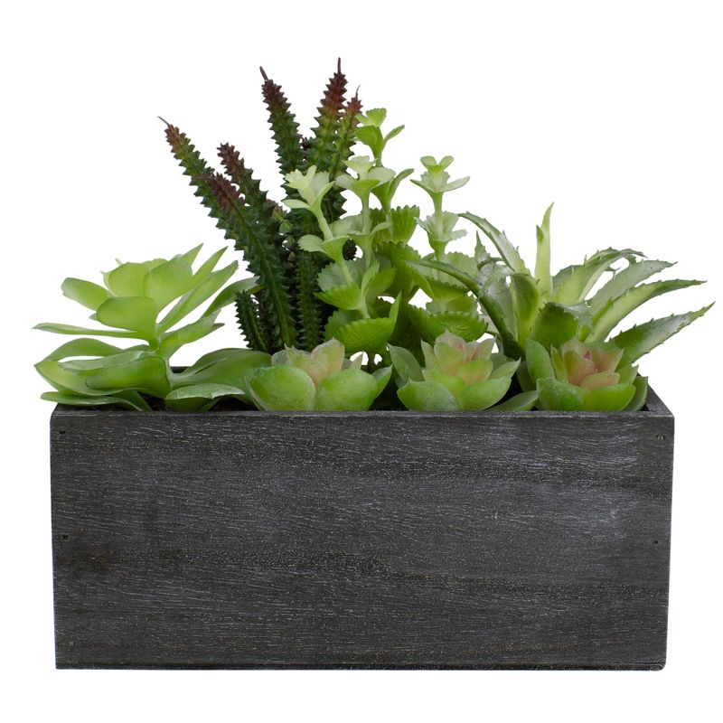Northlight 10" Artificial Mixed Succulent Plants in a Rectangular Planter, 1 of 6