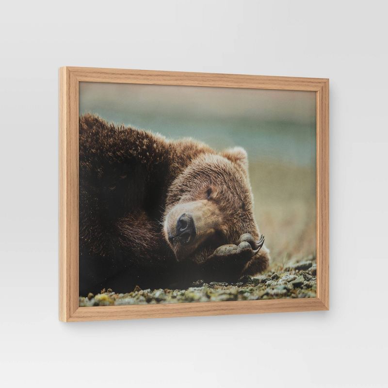 20&#34; x 16&#34; Bear Photography Framed Art Brown - Threshold&#8482;, 3 of 5
