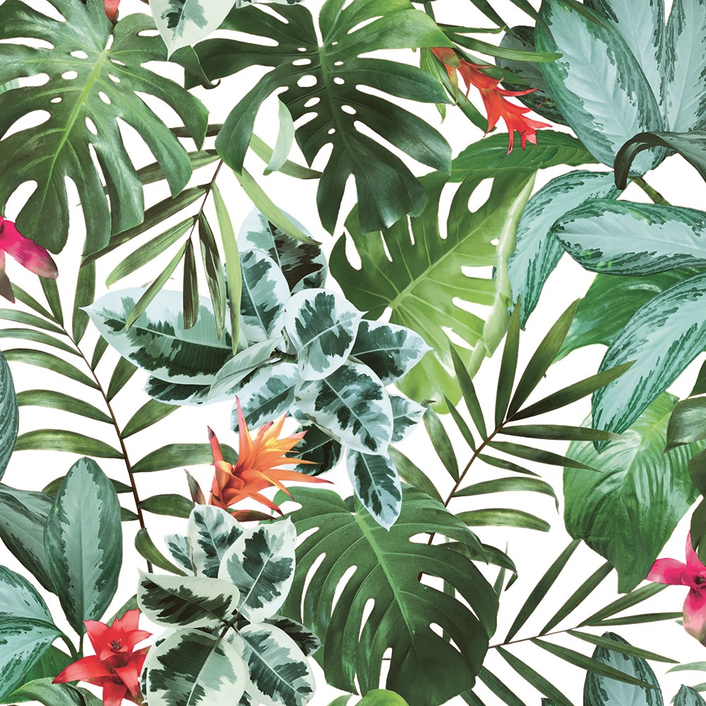 Photos - Wallpaper Tempaper & Co.® Rainforest Removable Peel and Stick , Tropical Gr