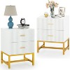 Tribesigns 2 Drawers Night Stands Bedside Table - image 2 of 4