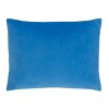 Disney Cars Radiator Springs Blue and Red Lightning McQueen and Tow-Mater Decorative Toddler Pillow - 3 of 4