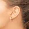 Black Bow Jewelry 2.75mm x 19mm Polished 14k Rose Gold Domed Oval Tube Hoop Earrings - 3 of 4