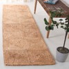Natural Fiber NFB480 Indoor Rugs - Safavieh - 2 of 4