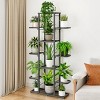 Plant Stand Indoor, Tiered Plant Stand- for Plant Lovers and DIY Enthusiasts, Perfect for Living Room&Balcony&Garden- General Organization - 2 of 4