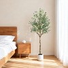 Coucheta 5/6/7ft Artificial Olive Tree with Planter, Realistic Faux Potted Plant with Fruits for Home Office Indoor Decor, Green - 4 of 4