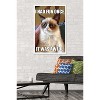 Trends International Grumpy Cat - Fun Framed Wall Poster Prints - 2 of 4