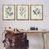 Stupell Industries Green Botanical Latin Study, 25" x 31" - 2 of 4