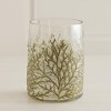 Dried Cedar Glass Candle Holder (Set of 3) - 2 of 3