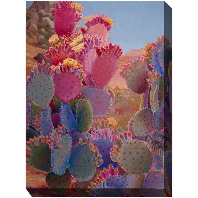 Cottage Garden West of The Wind Painted Desert Colorful 30 x 40 Inch Waterproof Gallery Wrapped Canvas, Outdoor Garden, Yard, Patio All Weather