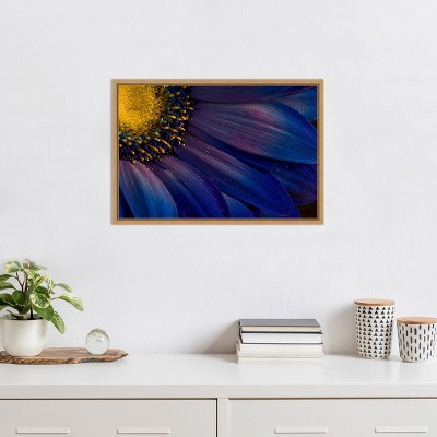 Blue Rays Macro Gerbera Daisy Canvas Print with Maple Frame