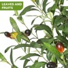 Litake Artificial Olive Tree Plants 5/6/7ft, Artificial Plastic Plants in White Pot for Home ,1pack or 2pack - 3 of 4
