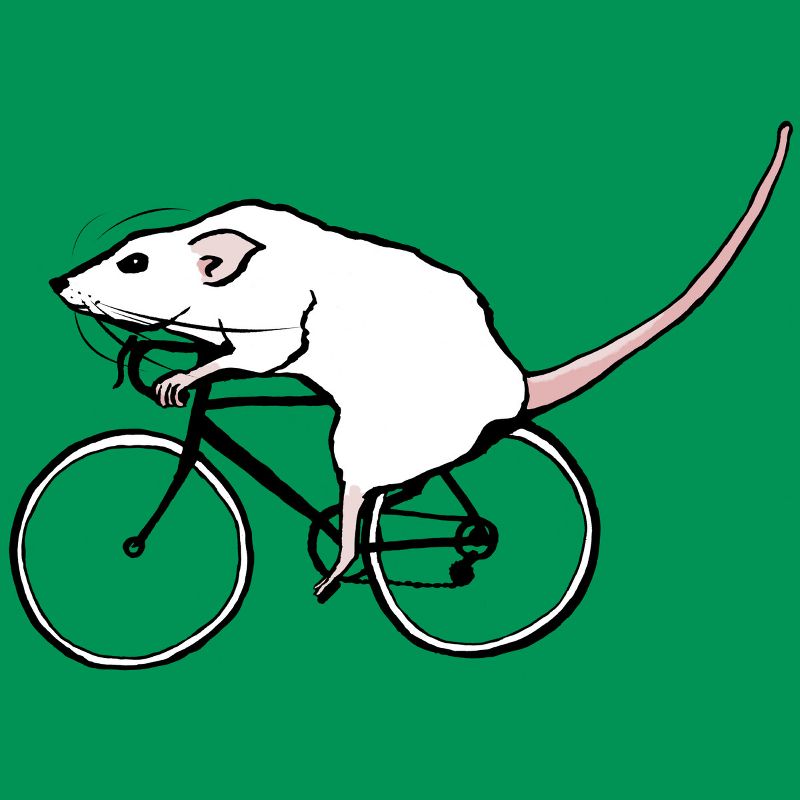 Junior's Design By Humans Cycling Rat By TeaandInk T-Shirt, 2 of 4