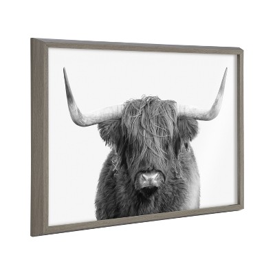 Kate and Laurel Blake Highland Cow Portrait Framed Printed Art by Amy Peterson Art Studio