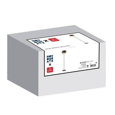 Elegant Dual-Bulb Metallic Dark Gray Floor Lamp with Energy-Saving Design