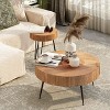 JIONJOY Farmhouse Nesting Coffee Table Set - 2-Piece Round Tables with Stump Pattern - 4 of 4