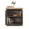 GDFStudio Carter Wood Decorative Storage Cabinet with Doors and Adjustable Shelves - 4 of 4
