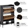 Wooden Shoe Storage Cabinet,  Hidden Freestanding Shoe Rack with 2 Flip Drawers and Adjustable Shelf, for Entryway, Hallway - 4 of 4