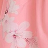 pink lily flower