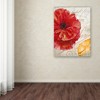 Trademark Fine Art -Color Bakery 'Red Poppy' Canvas Art - 3 of 3