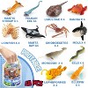 48-Piece Sea Animal Toys Set with Gift Box, Mini Vinyl Ocean Creature Figures for Sensory Bins, Cake Toppers and Preschool Play - 4 of 4
