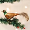 Old World Christmas Glass Blown Ornament for Christmas Tree, Pheasant - 2 of 3