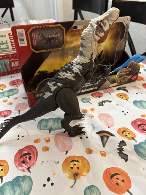 Guest review image 2 of 4, zoom in