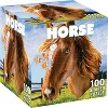 MasterPieces 100 Piece Jigsaw Puzzle - Horse - 10.3"x12.65" - 2 of 4