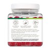 Youtheory Spore Probiotic Zero Sugar Gummy 90ct - 4 of 4