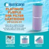 Hurricane 2 Pack HF4326-01 Platinum Purple Spa Filter Cartridge for PRB25, Unicel C-4326, Filbur FC-2375, Dynamic Series I RDC-25, Waterway 25 in-Line - 2 of 4
