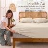 Organic Cotton Jersey Fitted Sheet by Bare Home - 3 of 4