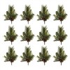 Mixed Pine Juniper Spray (Set of 12) - 3 of 3
