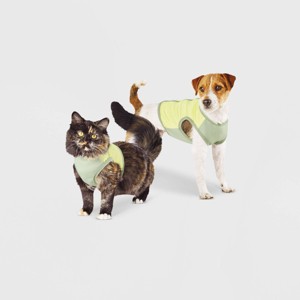 Spacer & Mesh with Zipper Centerback Cooling Dog and Cat Vest - Green - Boots & Barkley™ - 1 of 4