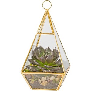 D'Eco Glass Geometric DIY Terrarium for Succulent & Air Plant - Hanging Pyramid Shaped for Indoor Gardening Decor- Create Your own Flower Centerpiece - 1 of 3