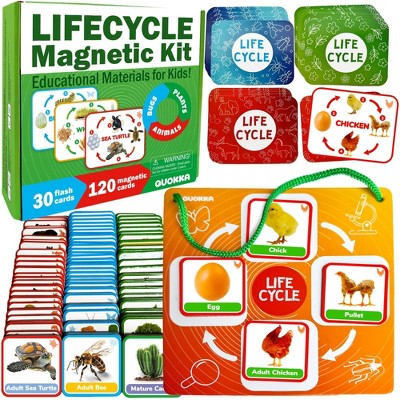 QUOKKA Life Cycle Kit Toy Montessori - 30 Flash Cards Toddler Science Activities for Kids Ages 2-4 - Prek Animal Learning Materials 3-5 - 120 Magnetic