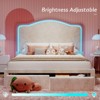 Bed Frame with LED Lights and Charging Station, 50" Tall Storage Headboard - 4 of 4