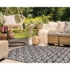 Liora Manne Carmel  Indoor/Outdoor Rug  Black.. - 4 of 4