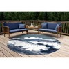 Liora Manne Capri Coastal Indoor/Outdoor Rug.. - 3 of 4